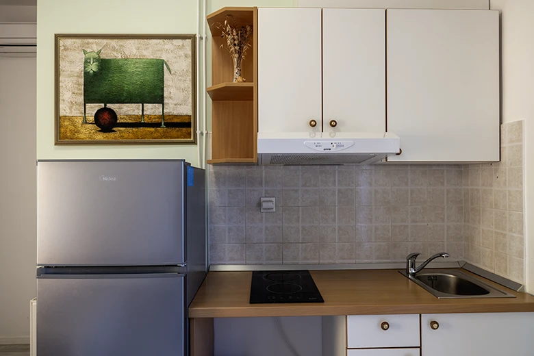 Apartments Haus Klaričić, Živogošće - kitchen